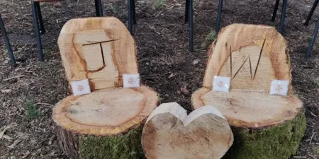 Seat carved form wood for klids