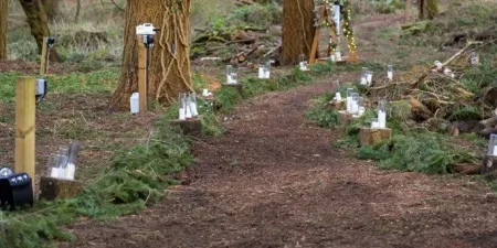A path in a woodland with candles along the edges